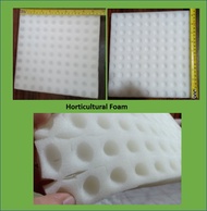 Horticultural Foam 100 cubes / 50cubes per pack / Grow Medium / Hydroponics / Garden / Greenhouse