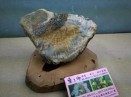 ※※蜜之鄉※※ 珊瑚玉髓-原礦石-1.5kg-1450元(A-06527)附牛樟座-香