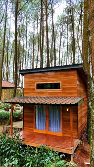 Villa 18 m² dengan 1 kamar tidur dan 1 kamar mandi pribadi di Palayangan (Cabin mezzanine 18-2 (data