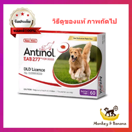 Antinol สุนัข อาหารเสริมบำรุงข้อ ลดอักเสบ EXP 11/2024