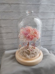 許願滿天星樹 玻璃花盅-永生花玻璃鐘罩 畢業禮物畢業 老師禮物