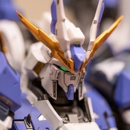 [TORNADO HOBBY]LEVEL-ULTIMATE 1/72 SKY DEFENDER HEAD model