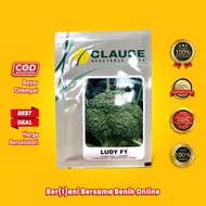 BENIH BROKOLI - LUDY F1 - 10 gram - Benih Sayuran - Clause