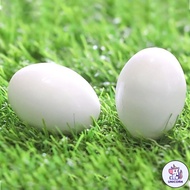 CU 【Hot sale】5/10PCS Fake Pigeon Egg Assist Pigeons To Incubate Eggs Dove Aviculture Nest Hatching E
