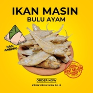 Ikan Masin Bulu Ayam Ikan Kering Bulu Ayam Ikan Bulu Ayam Kering Ikan Masin Bulu Ayam Borong