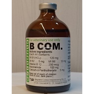 Vitamin B Com For Livestock. Suntikan Vitamin B Kompleks Untik Haiwan Ternakan.