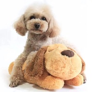 【Calming Anxiety Relief】Dog Plush Toy with Heartbeat Simulator Warm Puppy Sleep Companion Stress Rel