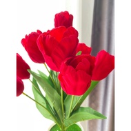 Fc7 Red Velvet Tulip Bouquet 1 Has 10 Flowers [Height 43 Cm.]
