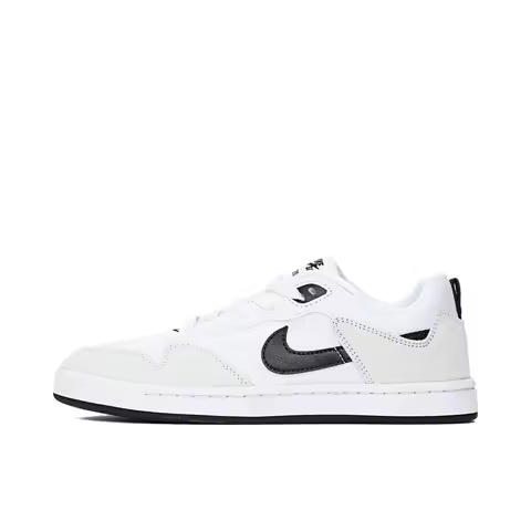 Nike 2025 Women's WMNS Nike SB ALLEYOOP Sports Shoes CQ0369-100