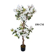 Pokok Bunga Kertas Bonsai Putih Hiasan / Premium Artificial Bougainvillea White Bonsai tree Flower D