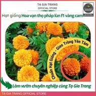 Orange yellow F1 dwarf French marigold seeds - Ta Gia Trang seed Shop