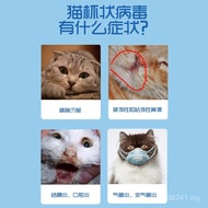 Test Paper Test Card Cup-Shaped Cat Cup-Shaped Cat Plague Virus Bad Breathflammation Cat Cup-Shaped 