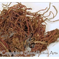 300 G GR GRAM BEI ZI WAN BEI ZI YUAN PURPLE ASTER ROOT