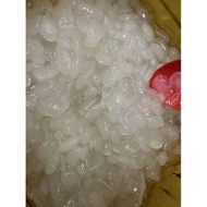 BUAH KABUNG 1 TIN BESAR SEGAR 20KG +-