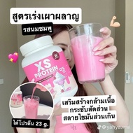 XS Protein Plaint-Based