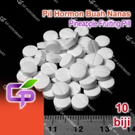 10 biji Pil Hormon Buah Nanas Nenas / Pineapple Fruiting Pill / Alpha Naphthyl Acetic Acid