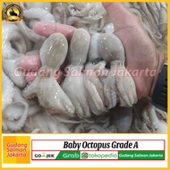 Gurita Kecil Segar - Baby Octopus Kecil Fresh - Gurita Baby