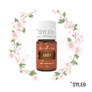 YOUNG LIVING GINGER ESSENTIAL OIL 5ML