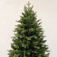 HY-$ Christmas Tree ExportpeMixed Christmas Tree Foreign Trade Green Pine Tree Christmas Holiday Decoration Pine Tree NP