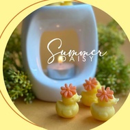 English Pear (Ang Mo Pear) - Sweet and Fruity