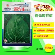 現貨 特價 快速發貨蔬菜種子 種籽卷心菜種子 種籽陽臺盆栽四季播甘藍菜籽不抽苔庭院種菜園fpny