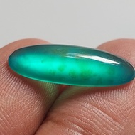 bacan gulau coklat HQ