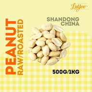 Fresh Peeled Peanut 【𝑷𝒓𝒆𝒎𝒊𝒖𝒎 𝑸𝒖𝒂𝒍𝒊𝒕𝒚】/ Fresh Tanah  Kacang Mentah Buang Kulit 生山东花生