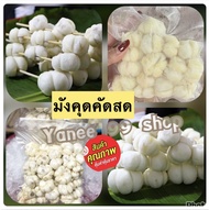 มังคุดคัดสด กรอบ หวาน อร่อย ของดีเมืองคอน💥500 กรัม💥ฟรีน้ำปลาหวาน💥 มังคุดคัดเกรด 🅰️