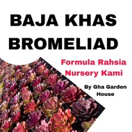 Baja Push Warna - Baja Bromeliad - Baja Paksa Cantik Bromeliad - by Gha Garden House  / Baja Paksa B