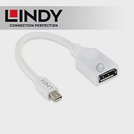 LINDY 林帝 Mini DisplayPort 公 to DisplayPort /母轉接器 20cm (41021)