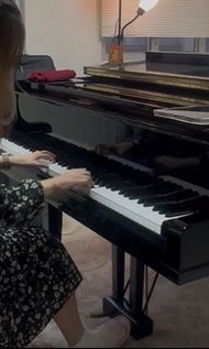 免費試堂🎹三角琴上課🎶音樂系演奏級鋼琴&木笛老師 上門學琴 三角琴教學