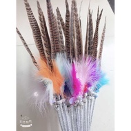 Cat Teasing Stick Mountain Cocktail Feather Pheasant Feather Teasing Stick