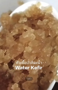 คีเฟอร์น้ำ (Water Kefir) 150g