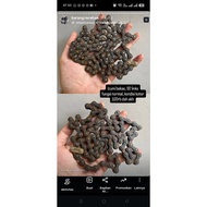 Used Izumi chain, not electronics