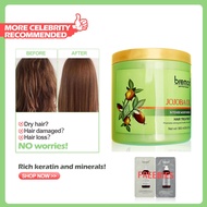 Bremod Hair Treatment Conditioner for Dry and Damaged Hair Mask Jojoba Argan oil Green tea Intense M