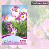 [Ready Stock]  Cosmos Flower Seeds Biji Benih Bunga Cosmos波斯菊花种子