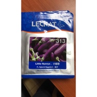 Terung Mini/baby Leckat F1 Little Nyoya 313 10gm/pkt