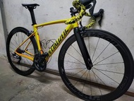 Specialized 閃電 Allez DSW Team SL Road bike