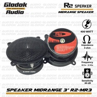 Speaker R2 midrange