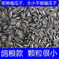 1-5斤批发价 现炒生熟油葵瓜子小瓜子油葵瓜籽葵花籽鸽粮小油葵