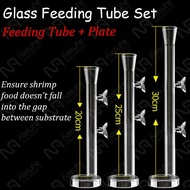 Glass Feeding Tube Set - Tube & Plate