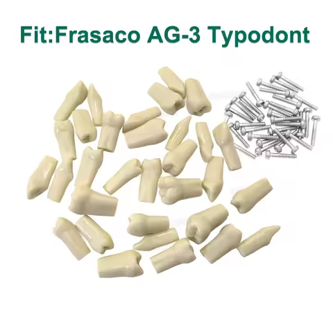 Teeth Model Fit Frasaco AG3 Typodont Full Arch 32-tooth Replacement Screw-in Teeth for Dentist Prepa