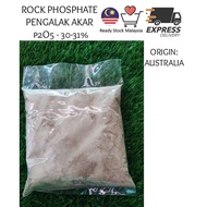 BAJA PENGALAK AKAR ROCK PHOSPHATE 30%