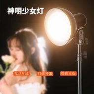 Divine Maiden Fill Light LED Photography Light Live Streaming Fill Light Indoor Studio Hair Light St