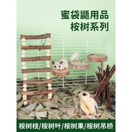 Honey Glider Toys Molars Relieve Boredom Eucalyptus Fruit Eucalyptus Leaf Litter Landscaping Supplie