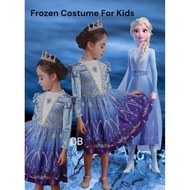 Frozen 2 Costume Dress And Crown For Kids
