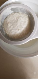 【加拿大有機奶培育】頂級奶克菲爾菌種（Milk Kefir Grains）｜現貨順豐到付
