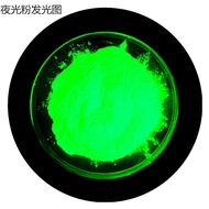 Fluorescence Paint Paint Luminous Glow Luminous Powder Manufacturer Ink/High Temperature/Sell paint 