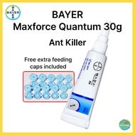 [BAYER] Maxforce Quantum 30g Ant Killer Bait | Insecticide Max Force / Pest Control
