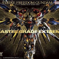Mgex 1/100 Strike Freedom